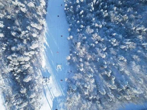 中国亚冬会冰雪成绩_2025都灵冬奥会奖牌榜_中国冰雪运动发展历程