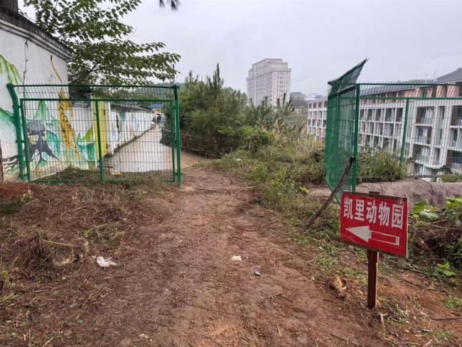 “史上最寒酸”动物园好起来了 迎来首个旅行团