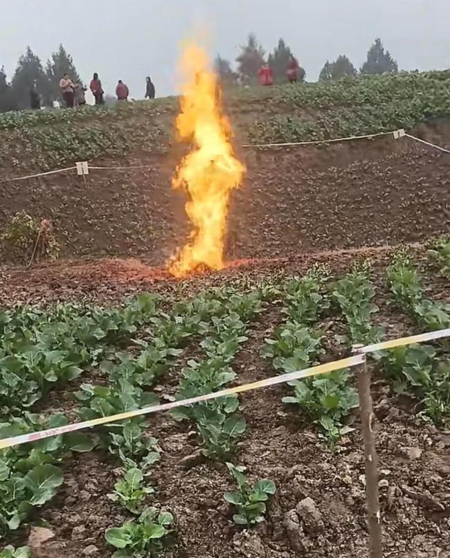 四川一菜地冒火已7天 专家前往检测 罕见地质异象引发关注