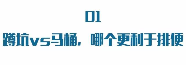 亚洲蹲_蹲坑健康_马桶蹲便