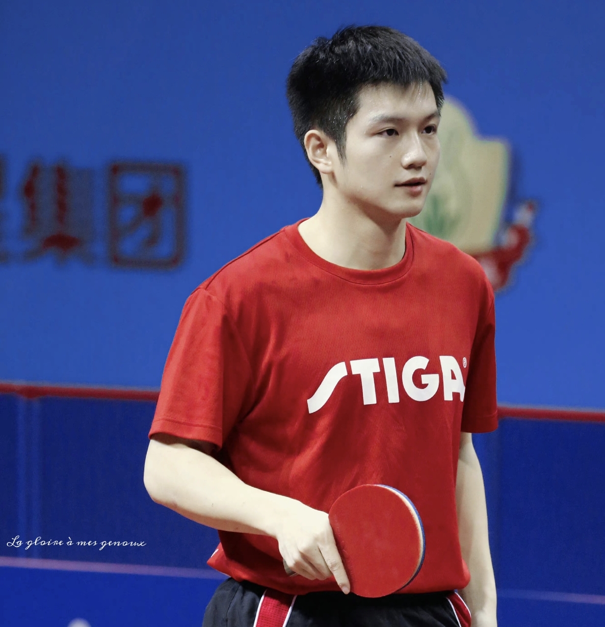 樊振东球台全覆盖_樊振东巴黎奥运会男单决赛_2026年奥运会乒乓球男单决赛
