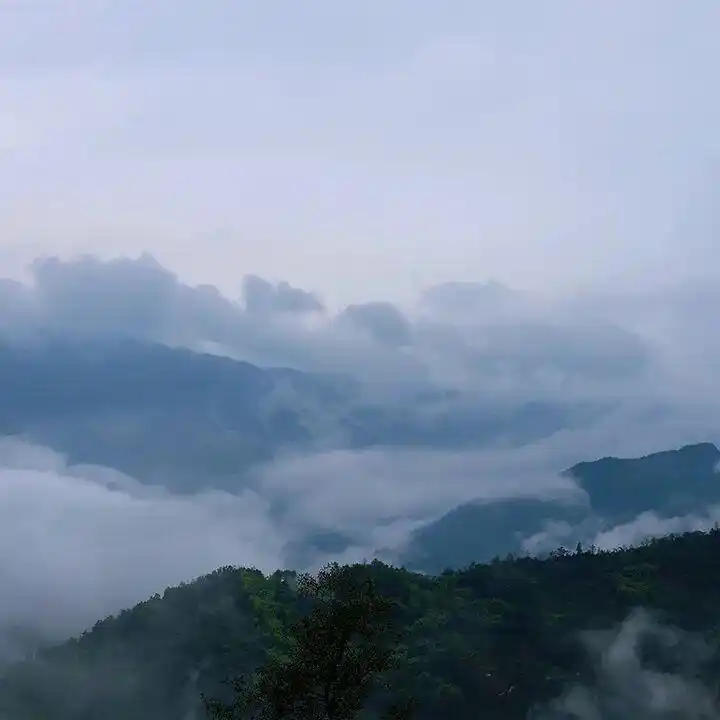 台风“巴威”来袭|新凤鸣全员严阵以待,筑牢抗台防汛坚固防线!