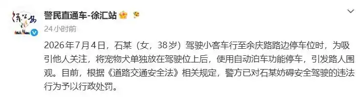 女子让狗坐主驾开启自动泊车被处罚_上海女子宠物犬驾驶位停车 自动泊车妨碍安全驾驶违法