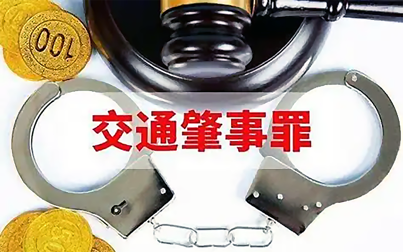 智能驾驶分级标准解读_女子让狗坐主驾开启自动泊车被处罚_自动泊车不能离开车辆