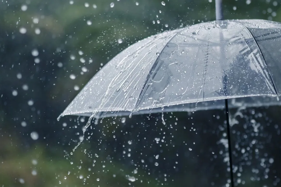 风雨来临不用慌,中国农大专家为你划重点!