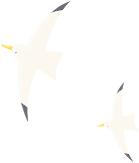 2026大连国际徒步大会_大连海岸赛艇赛事_2026大连海岸赛艇环岛公开赛