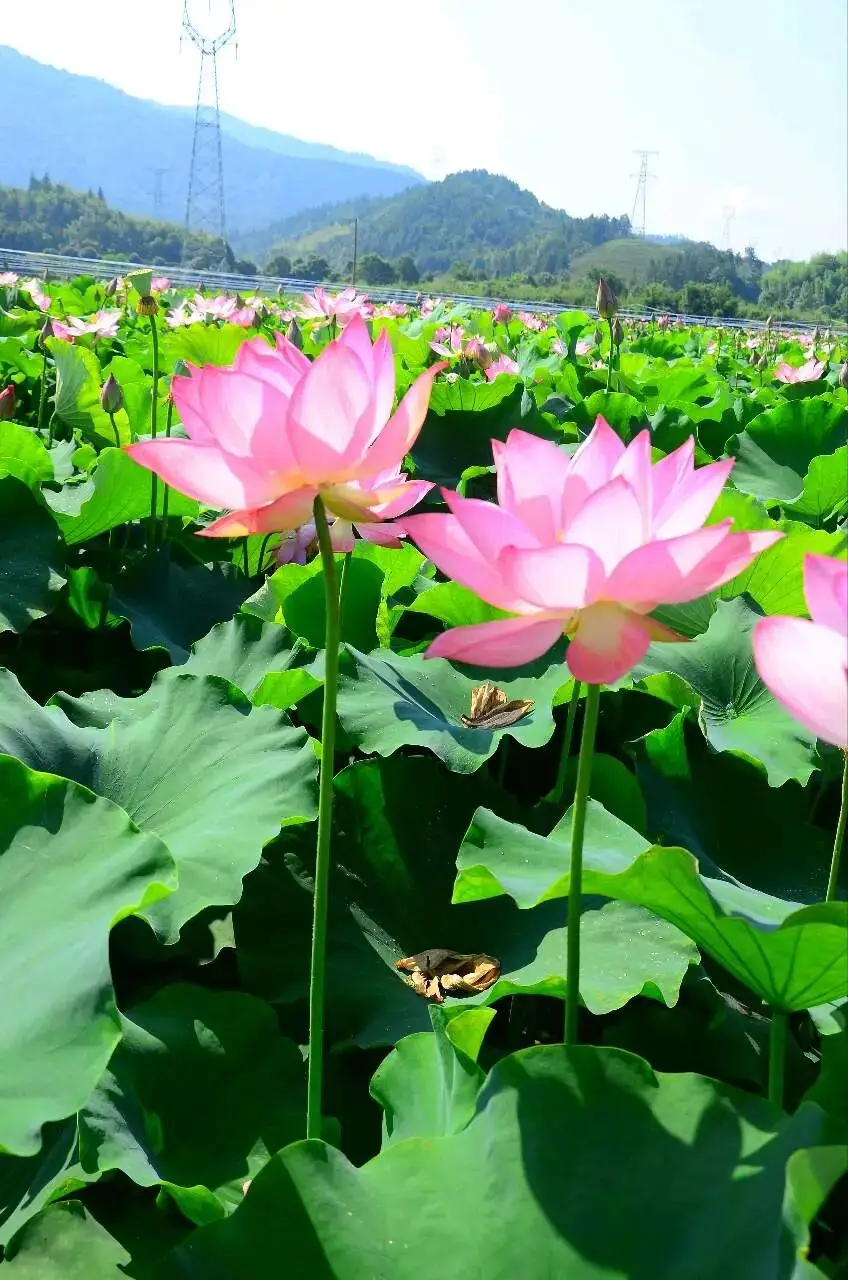 早晨早餐美好时光_清晨活力满满心情_早上 空腹 跑步