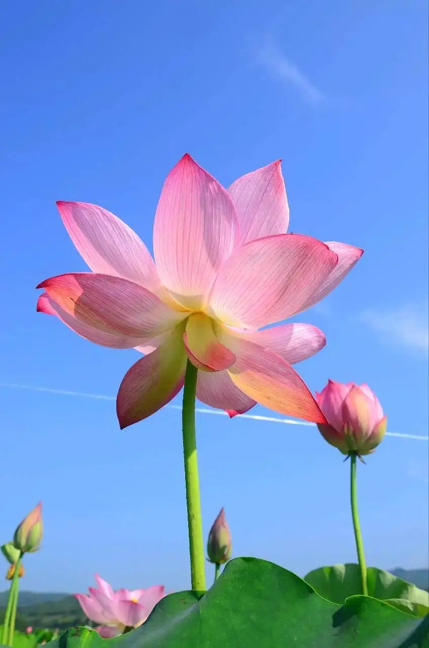 清晨活力满满心情_早晨早餐美好时光_早上 空腹 跑步