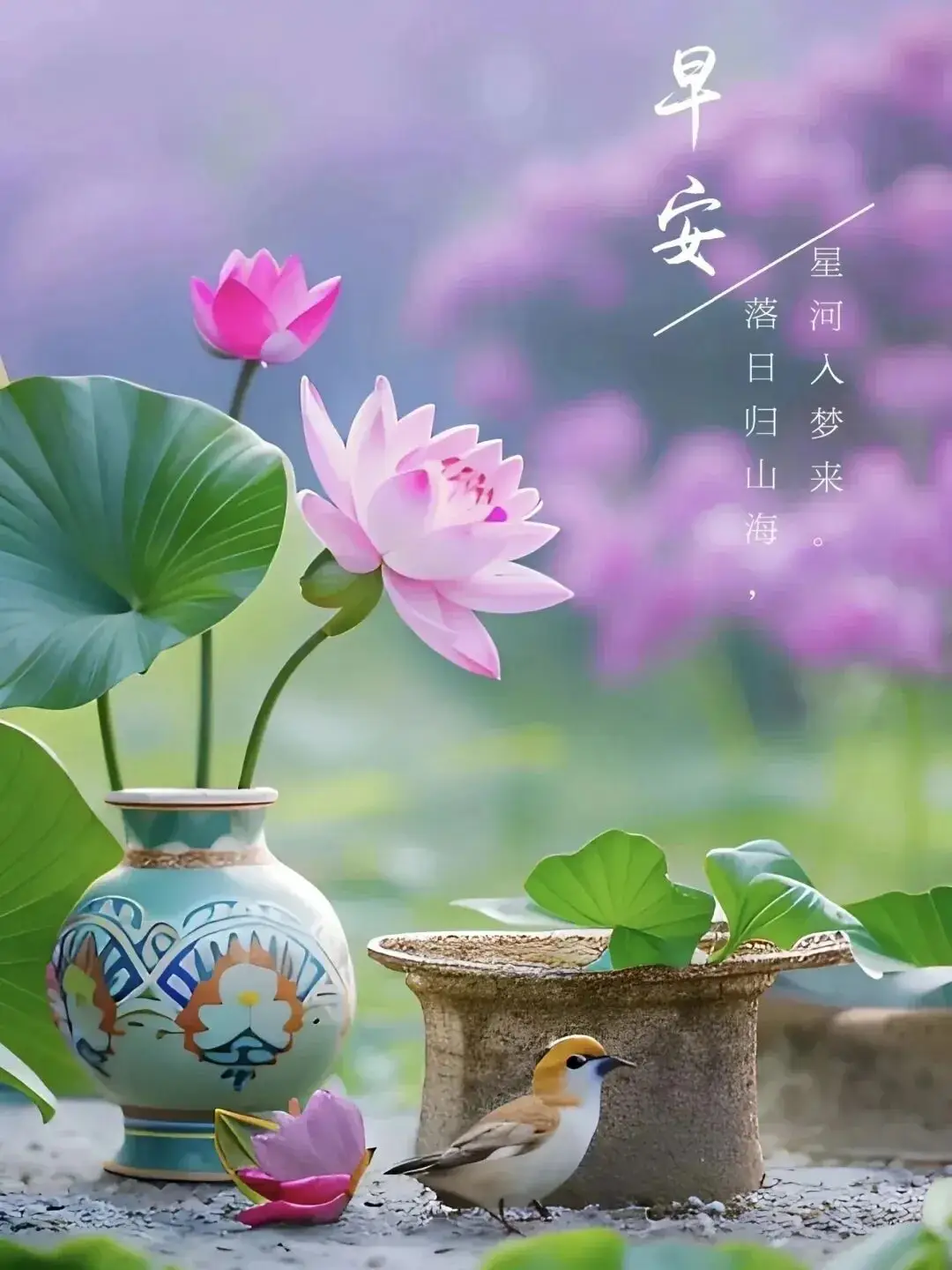 早上 空腹 跑步_早晨早餐美好时光_清晨活力满满心情