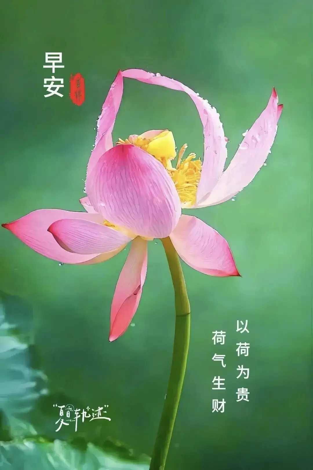 早晨早餐美好时光_清晨活力满满心情_早上 空腹 跑步