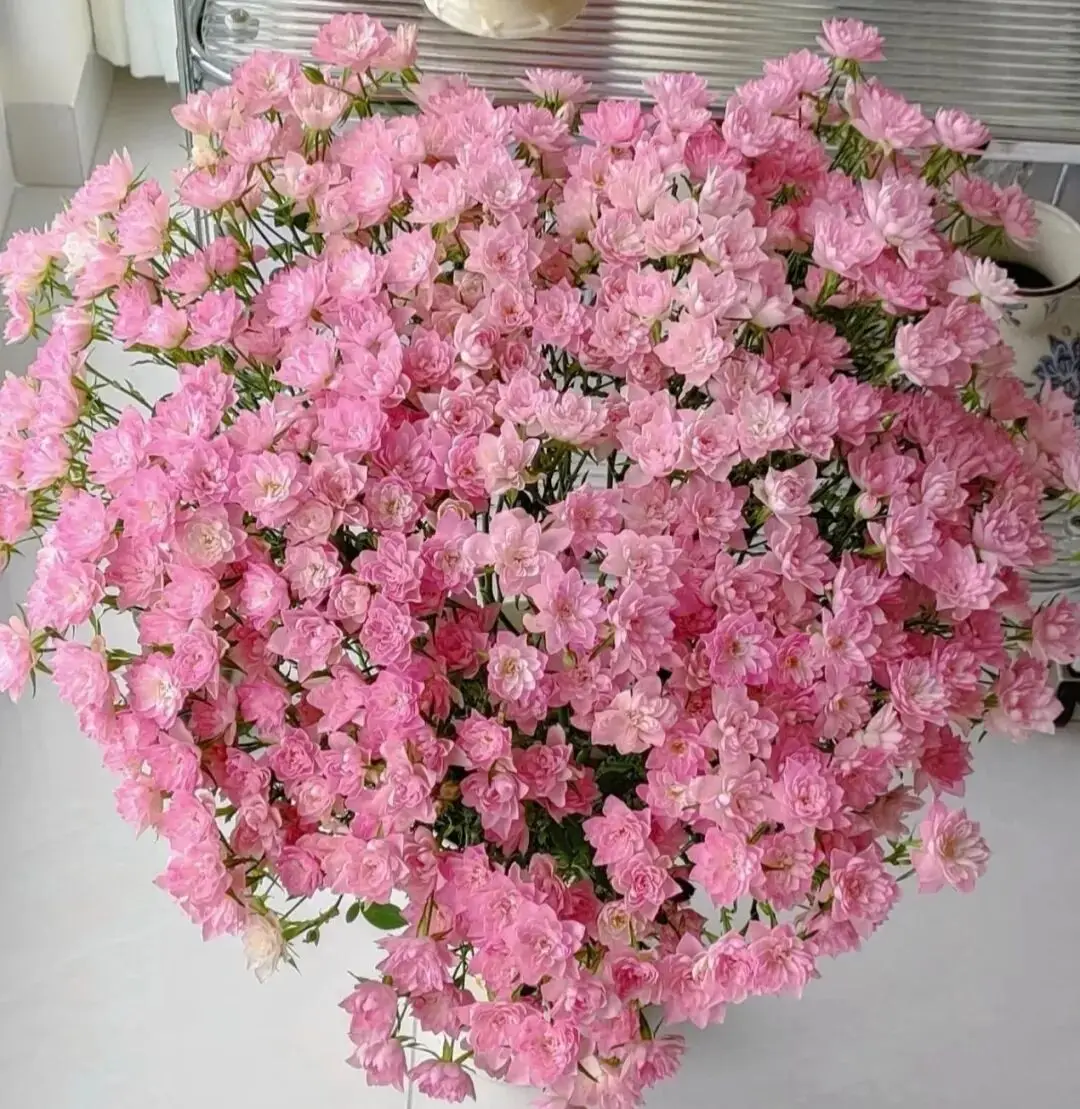 早上 空腹 跑步_早晨早餐美好时光_清晨活力满满心情