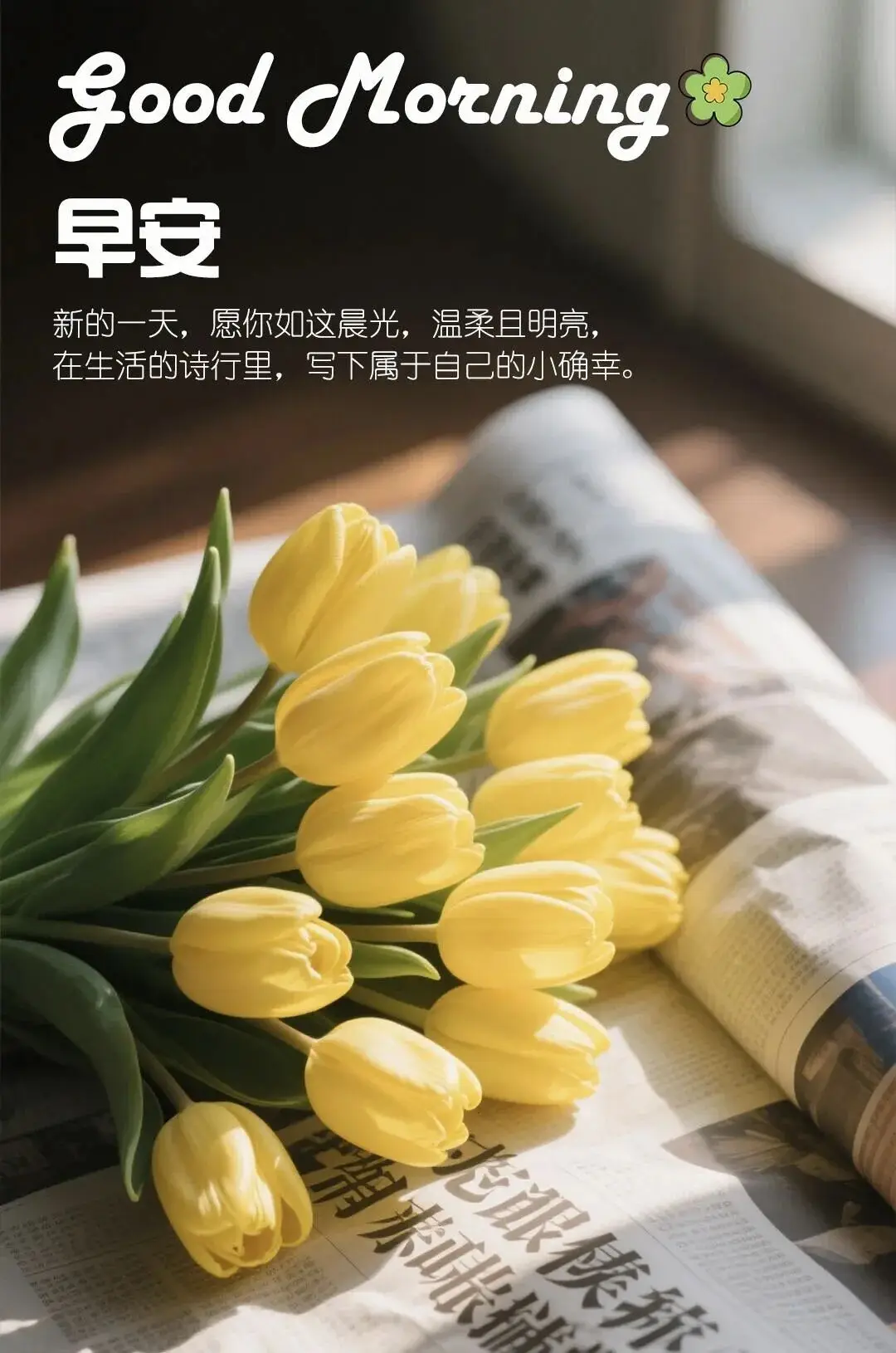 早晨早餐美好时光_早上 空腹 跑步_清晨活力满满心情