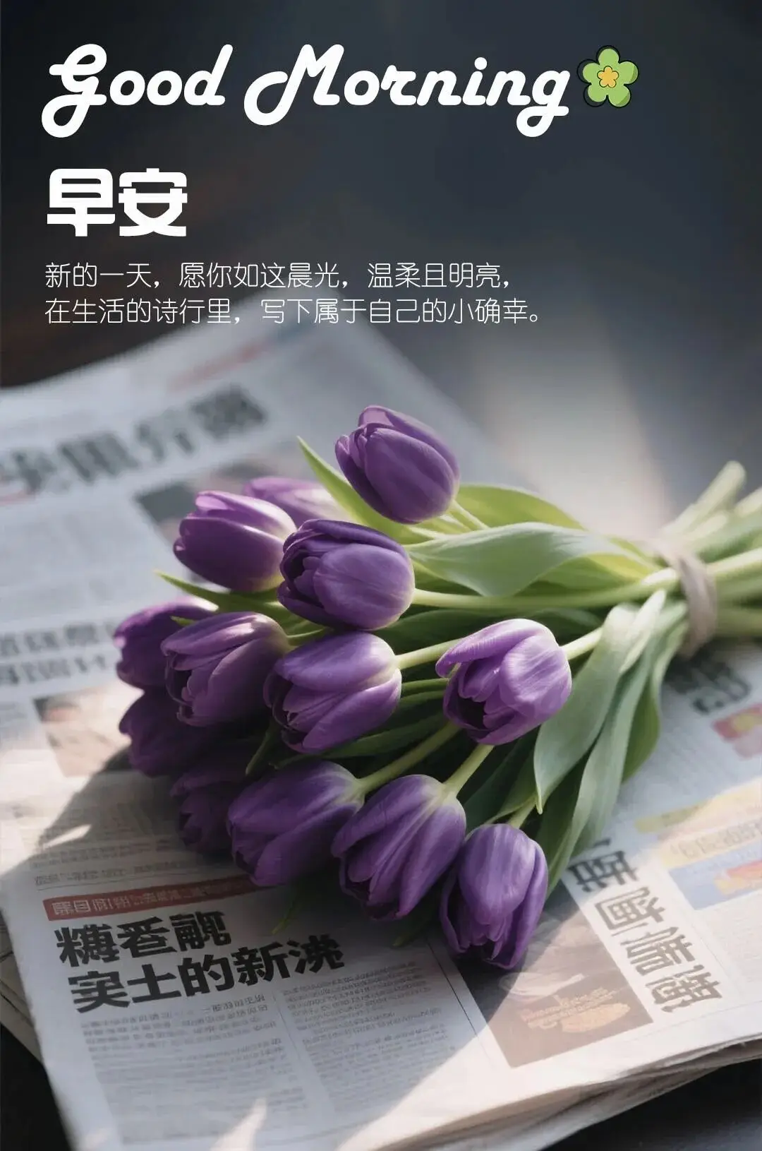早上 空腹 跑步_早晨早餐美好时光_清晨活力满满心情