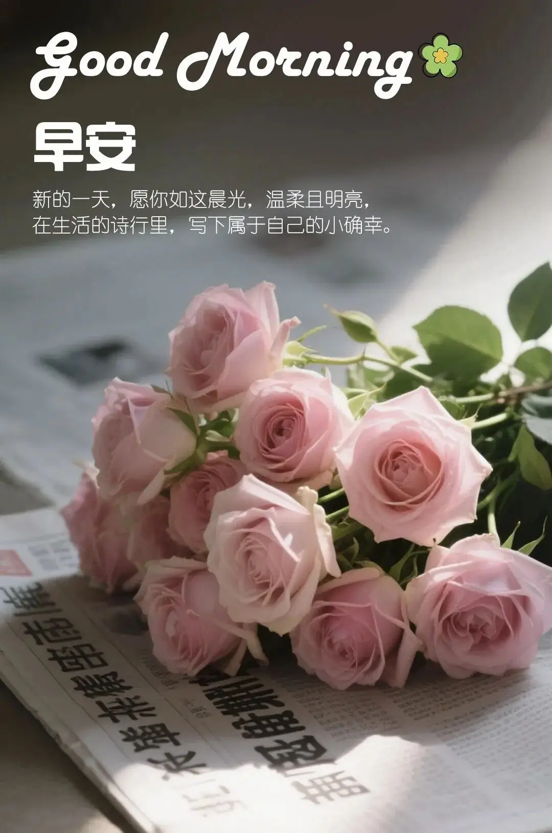 清晨活力满满心情_早晨早餐美好时光_早上 空腹 跑步