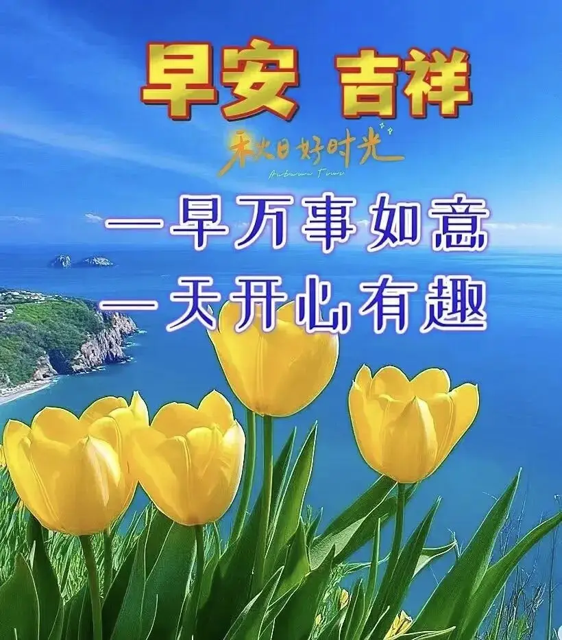 早上 空腹 跑步_早晨早餐美好时光_清晨活力满满心情