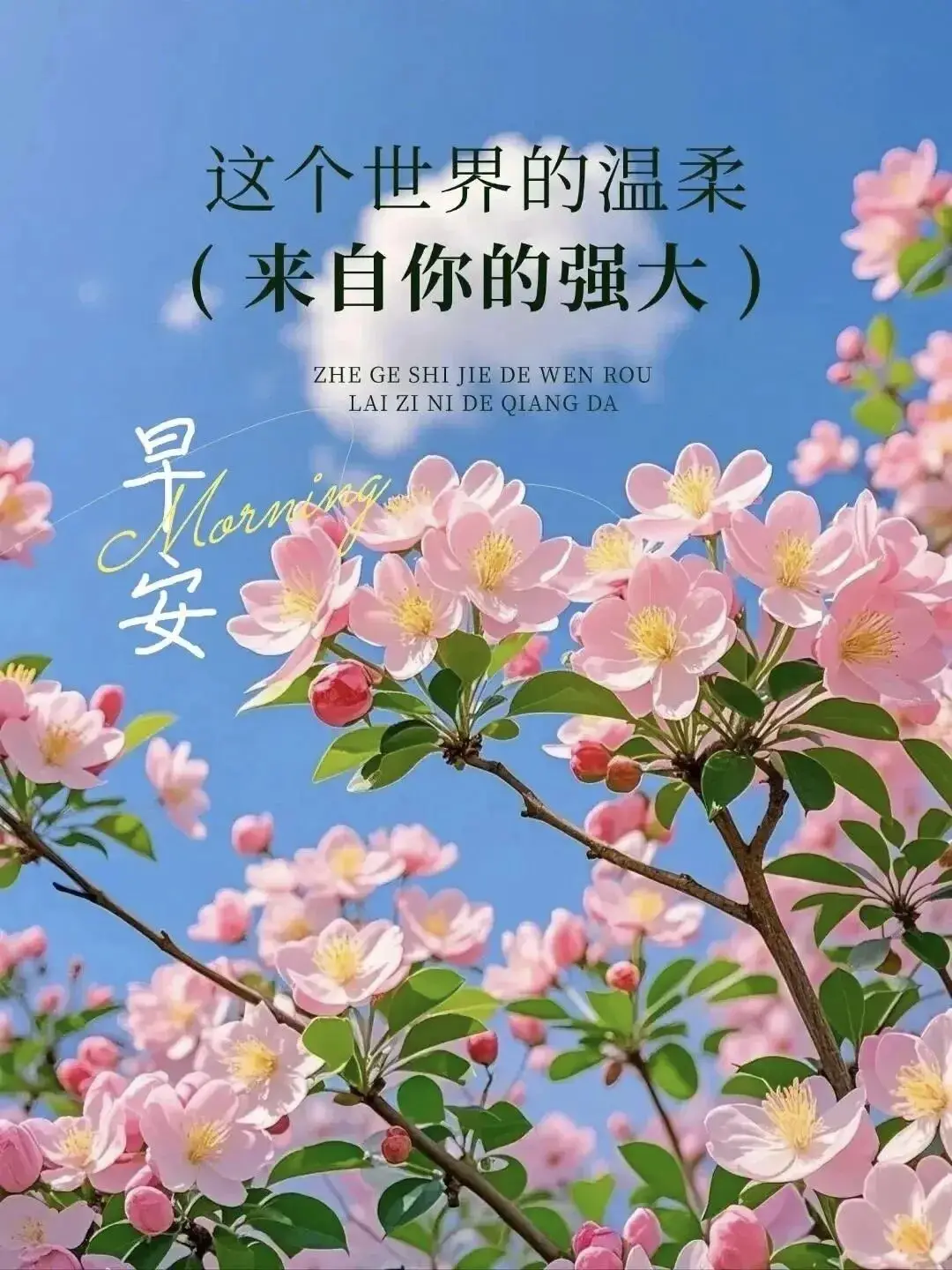 清晨活力满满心情_早晨早餐美好时光_早上 空腹 跑步