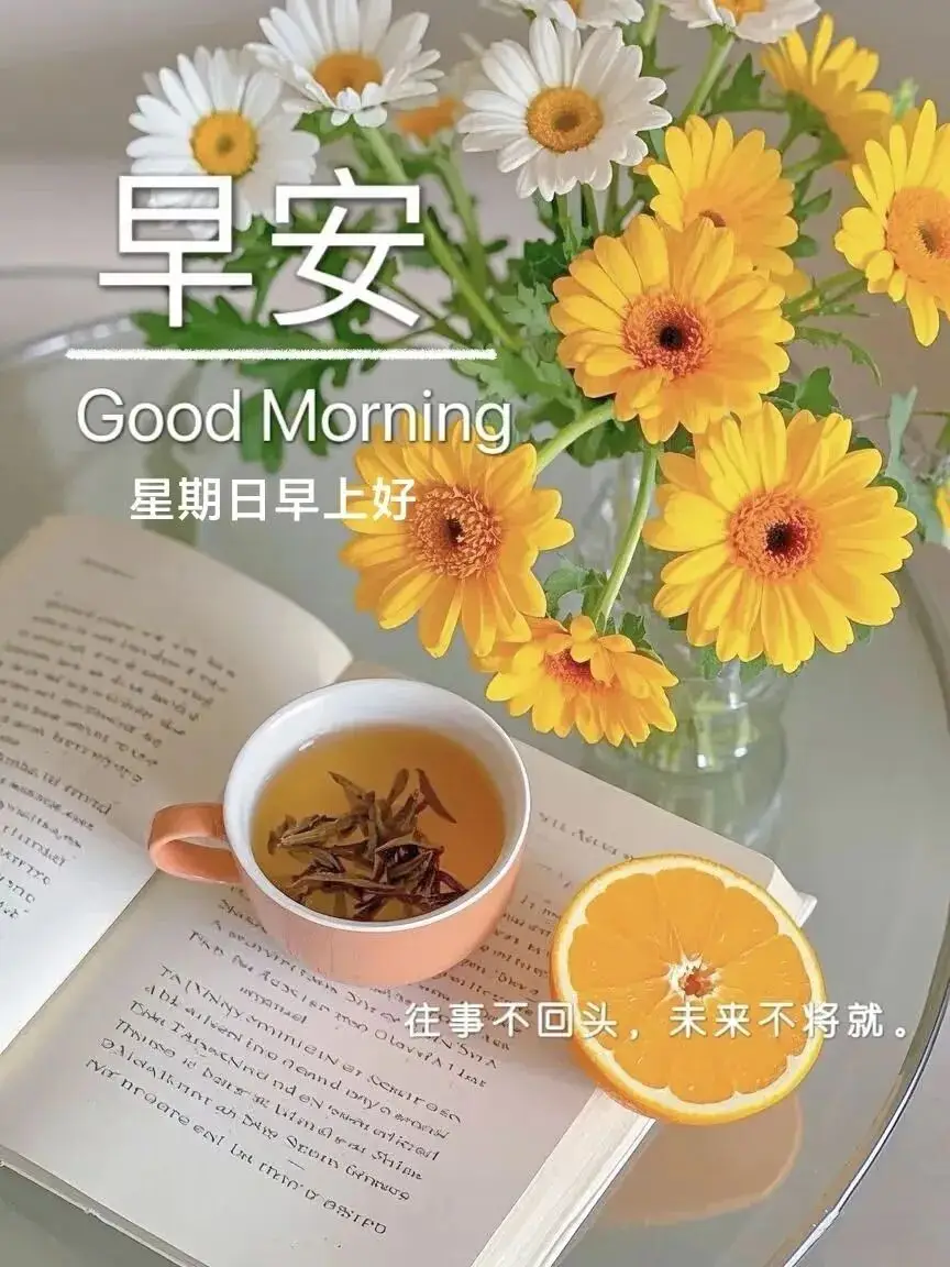 早晨早餐美好时光_清晨活力满满心情_早上 空腹 跑步