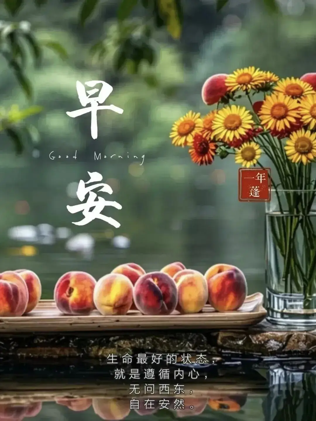 早上 空腹 跑步_早晨早餐美好时光_清晨活力满满心情