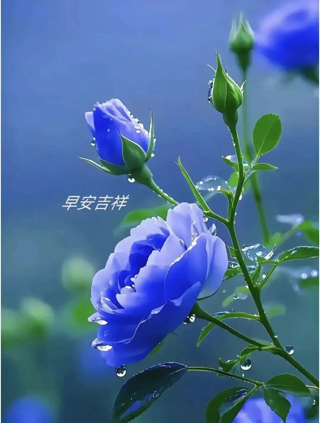 清晨活力满满心情_早晨早餐美好时光_早上 空腹 跑步