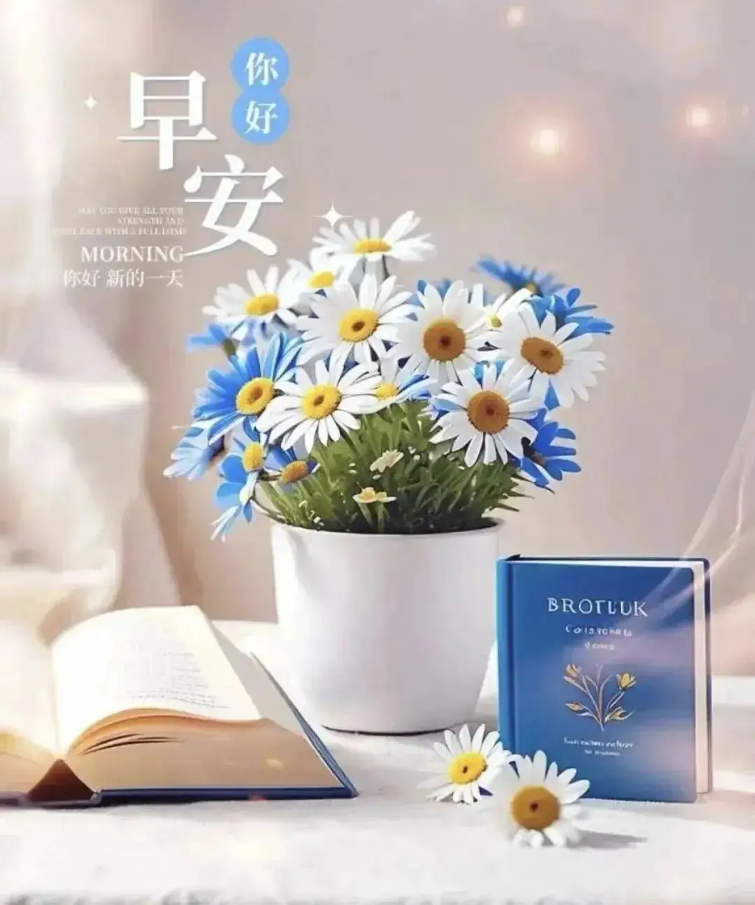 早晨早餐美好时光_清晨活力满满心情_早上 空腹 跑步