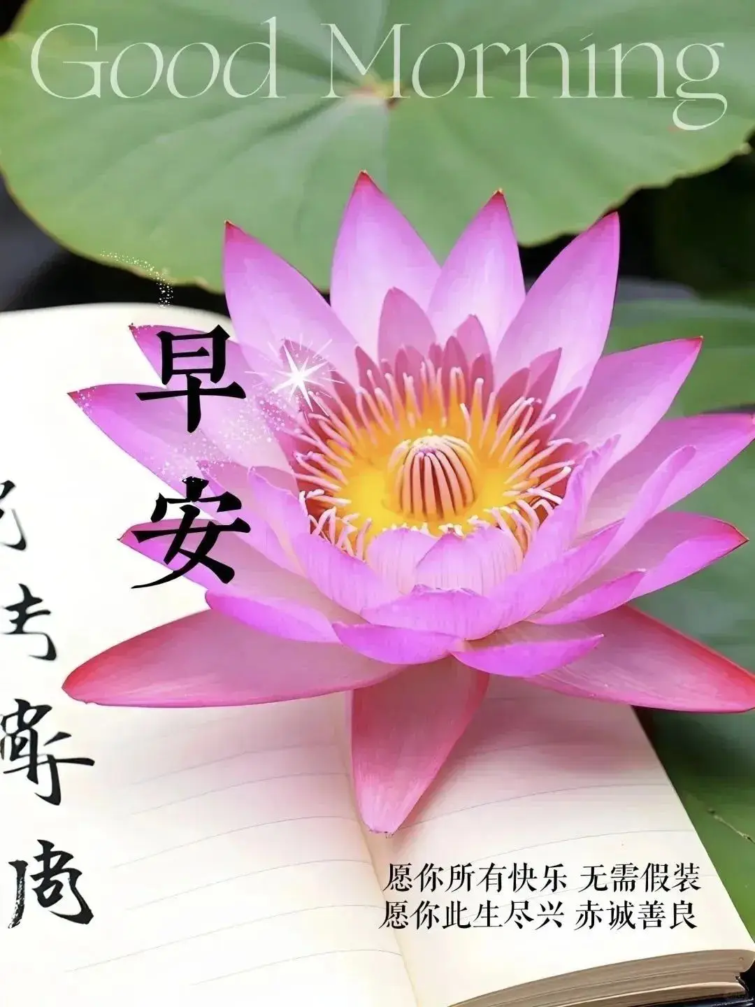 清晨活力满满心情_早上 空腹 跑步_早晨早餐美好时光