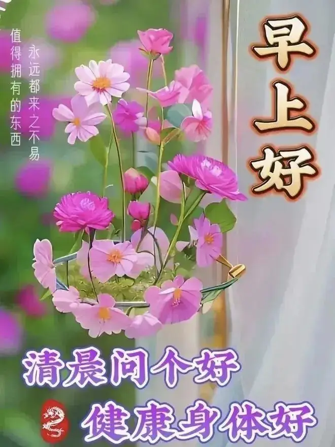 早晨早餐美好时光_清晨活力满满心情_早上 空腹 跑步