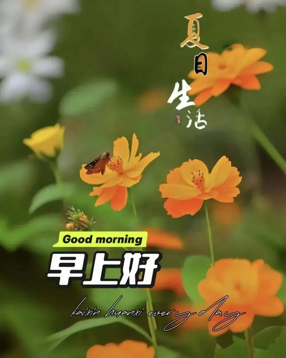 早上 空腹 跑步_清晨活力满满心情_早晨早餐美好时光
