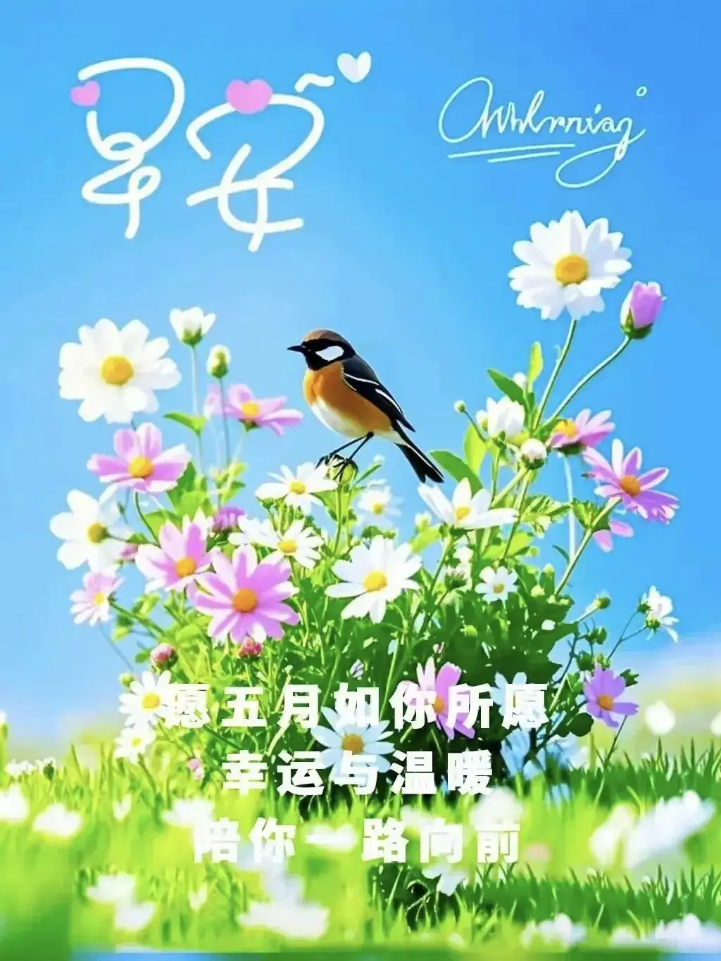 清晨活力满满心情_早晨早餐美好时光_早上 空腹 跑步