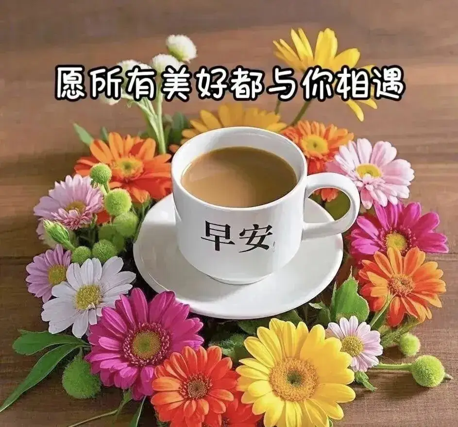 清晨活力满满心情_早晨早餐美好时光_早上 空腹 跑步