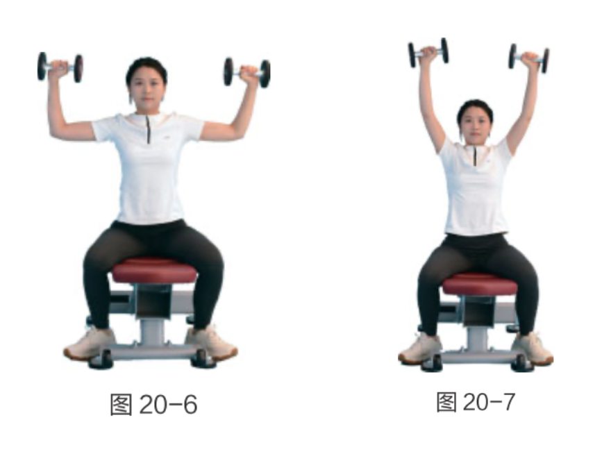科学练习频率安排_肌肉恢复时间间隔训练_女性锻炼图片