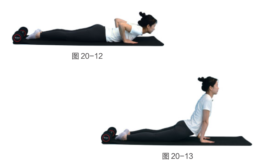 女性锻炼图片_科学练习频率安排_肌肉恢复时间间隔训练