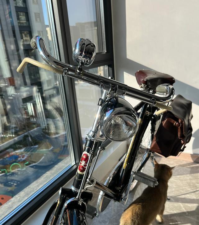 老式二八大杠特点_七八十年代自行车品牌_活飞自行车价格
