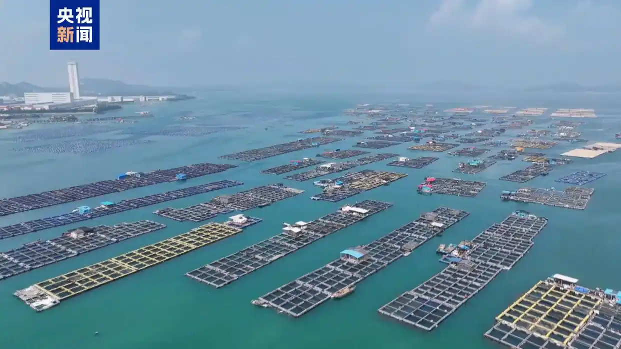 台风红霞登陆时间路径_红霞台风最新动态及影响范围_台风红霞来袭 多地停运、停航、停课