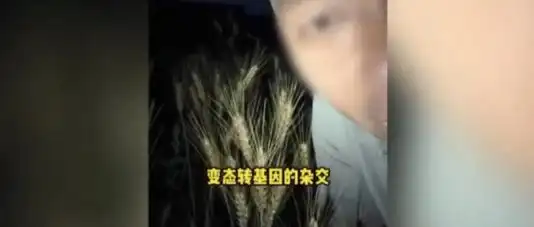 百万粉丝网红诋毁袁隆平成果，还嚣张称“大不了进去”，其账号被无限期封禁